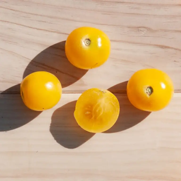 Tomate-Cerise Blanche - Kokopelli