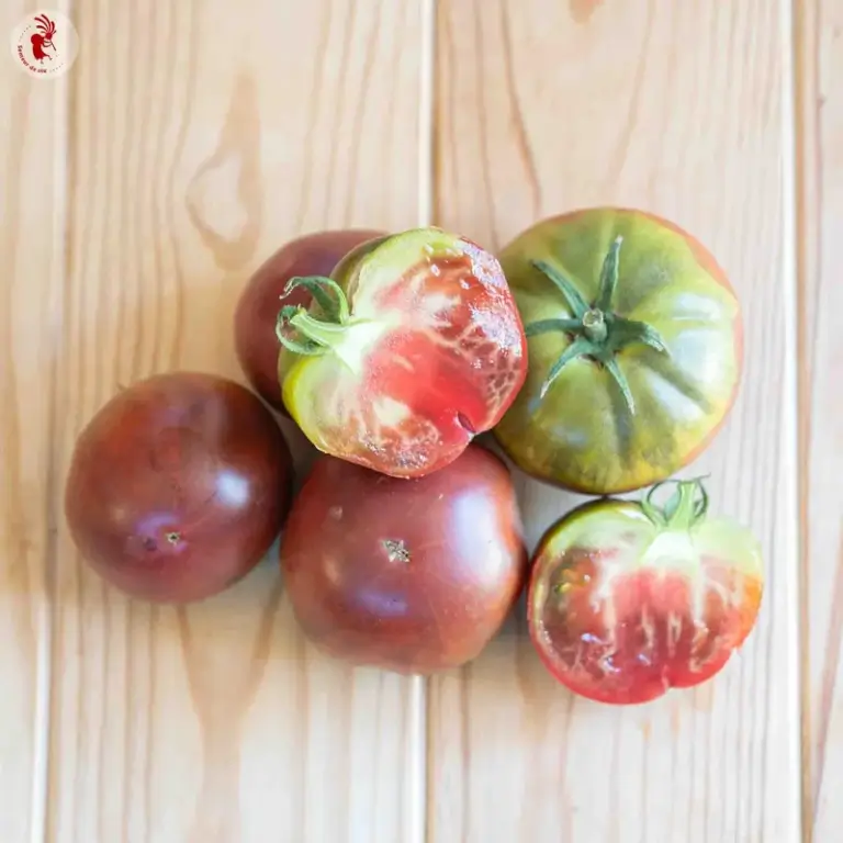 Cherokee Purple Tomato - Kokopelli