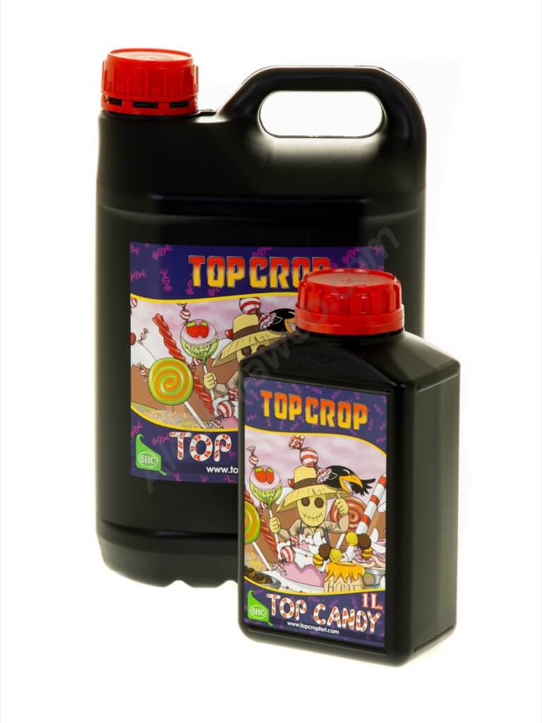 Top Candy