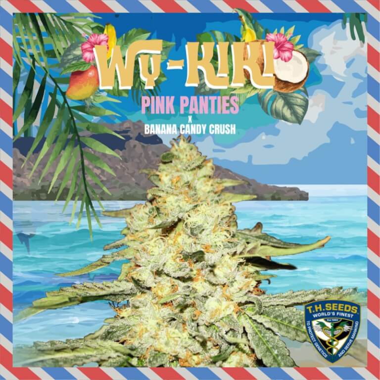 Wy-Kiki