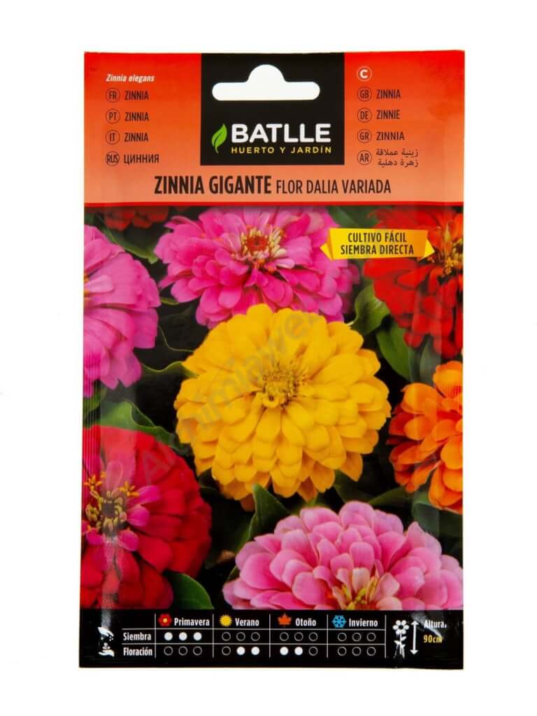 Zinnia Gigante Flor de Dalia - Batlle