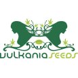 Vulkania Seeds