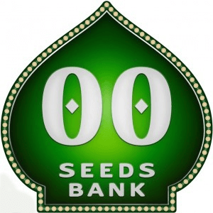 00 Seeds Promo Autofloreciente