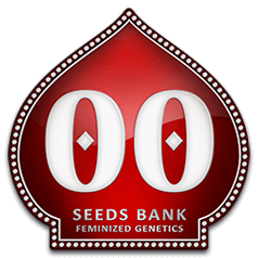 00 Seeds Feminized Promo