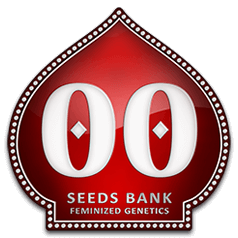 00 Seeds Feminisierter Promo