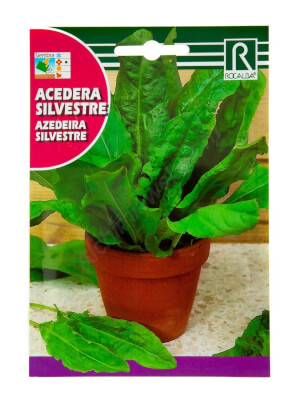 Acedera Silvestre de Rocalba