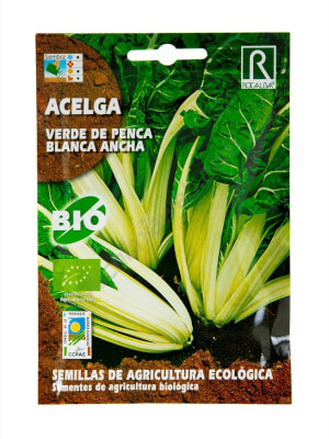 Acelga Verde de Penca Blanca Ancha Bio de Rocalba