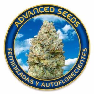 Advanced Seeds Auto Promo