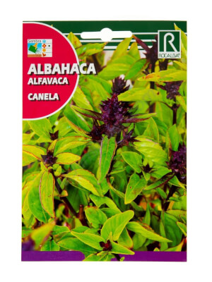 Albahaca Canela - Rocalba