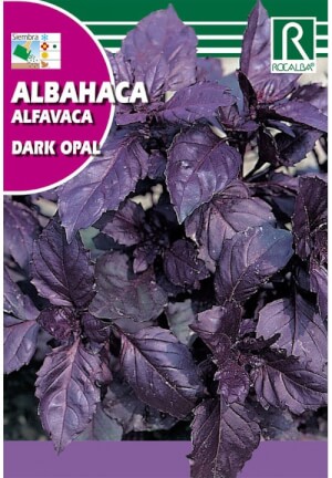 Albahaca Dark Opal de Rocalba