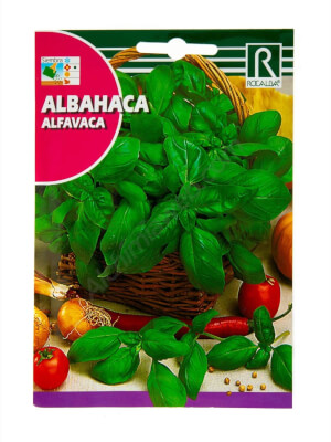 Rocalba Large Green Basil