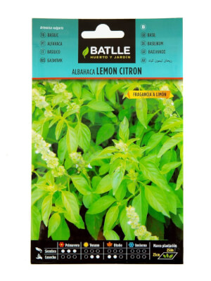 Albahaca Lemon Citron - Batlle
