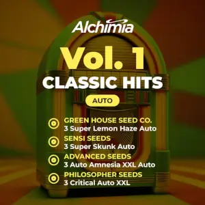 Alchimia Classic Hits Auto