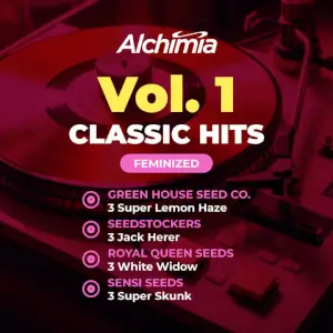 Alchimia Classic Hits Feminized