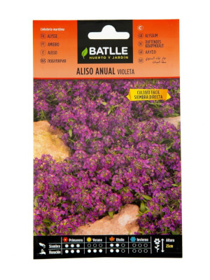 Alysson maritime violet - Batlle