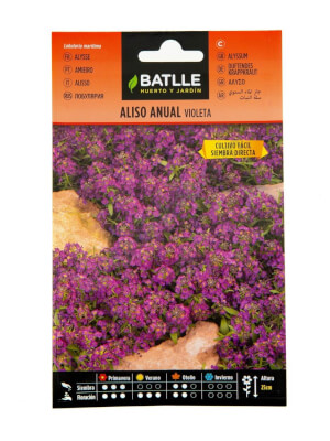 Aliso Anual Violeta - Batlle