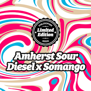 Amherst Sour Diesel x Somango Fem de Philosopher Seeds