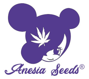 Anesia Seeds - Auto-flowering