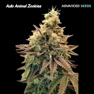 Animal Zookies Auto