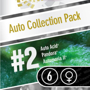 Auto Collection Pack #2