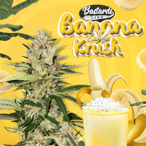 Banana Candy Krush