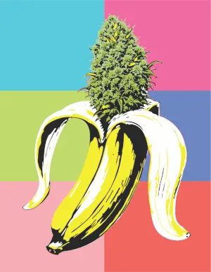 Banana OG