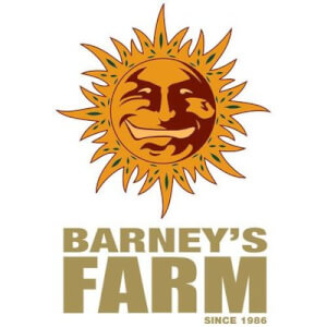 Barney's Farm promo feminizada