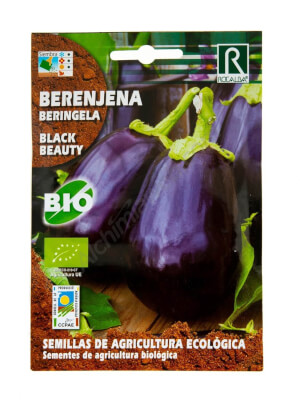 Aubergine Bio Black Beauty, de Rocalba