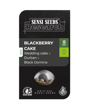 Blackberry Cake 