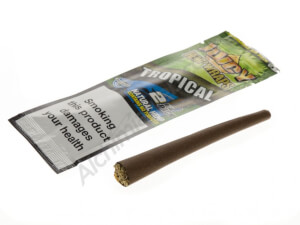 Feuilles blunt aLeda Banane - A shopper d'urgence chez S Factory !