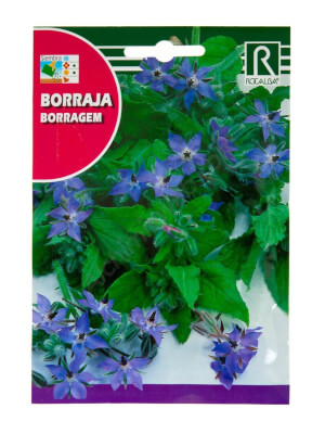 Rocalba Borage