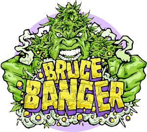 Bruce Banger by Seedsman