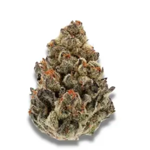 Bruce Banner III