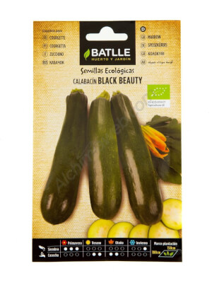 Batlle Organic Black Beauty Courgette