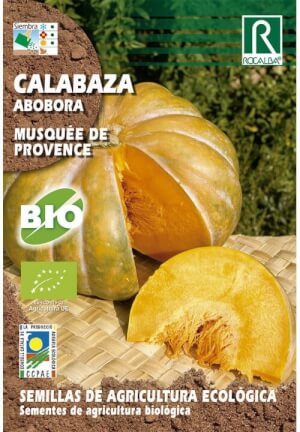 Rocalba - Bio-Moschus-Kürbissamen 'Musquée de Provence'