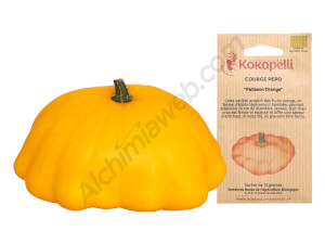 Courge Patisson orange