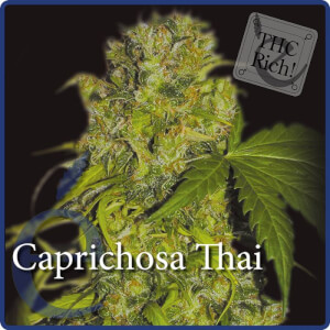 Caprichosa Thai 