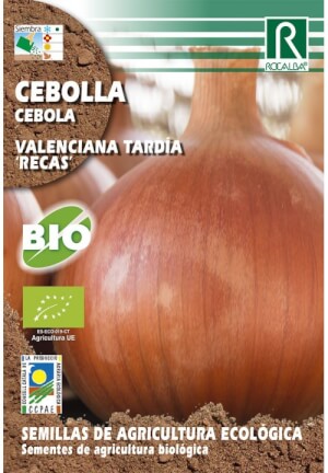 Rocalba -  Späte valenzianische Zwiebel 'Recas' Bio-Samen