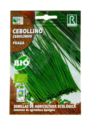 Rocalba - Chives Praga