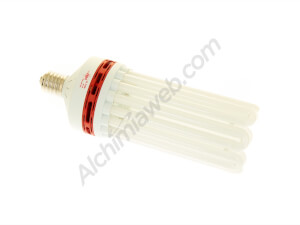 Ampoule CFL basse consommation 250W Floraison