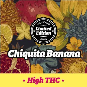 Chiquita Banana de Philosopher Seeds