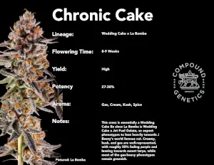 Chronic Cake 