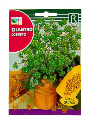 Cilantro - Rocalba