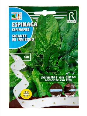 Rocalba -Gigante de Invierno- Spinach Seeds Tape