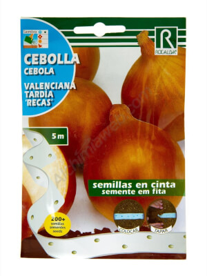 Rocalba -Valenciana Tardia Recas- Onion Seeds Tape