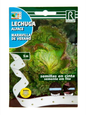 Cintas de Lechuga Maravilla de Verano de Rocalba