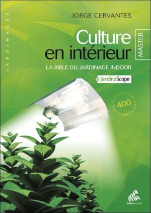 Culture en Intérieur - Master Edition - Cervantes