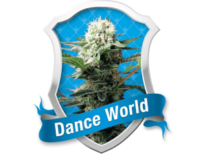 Dance World