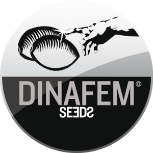 Dinafem feminized promo Seed