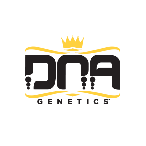 DNA 1 Llavor Fem